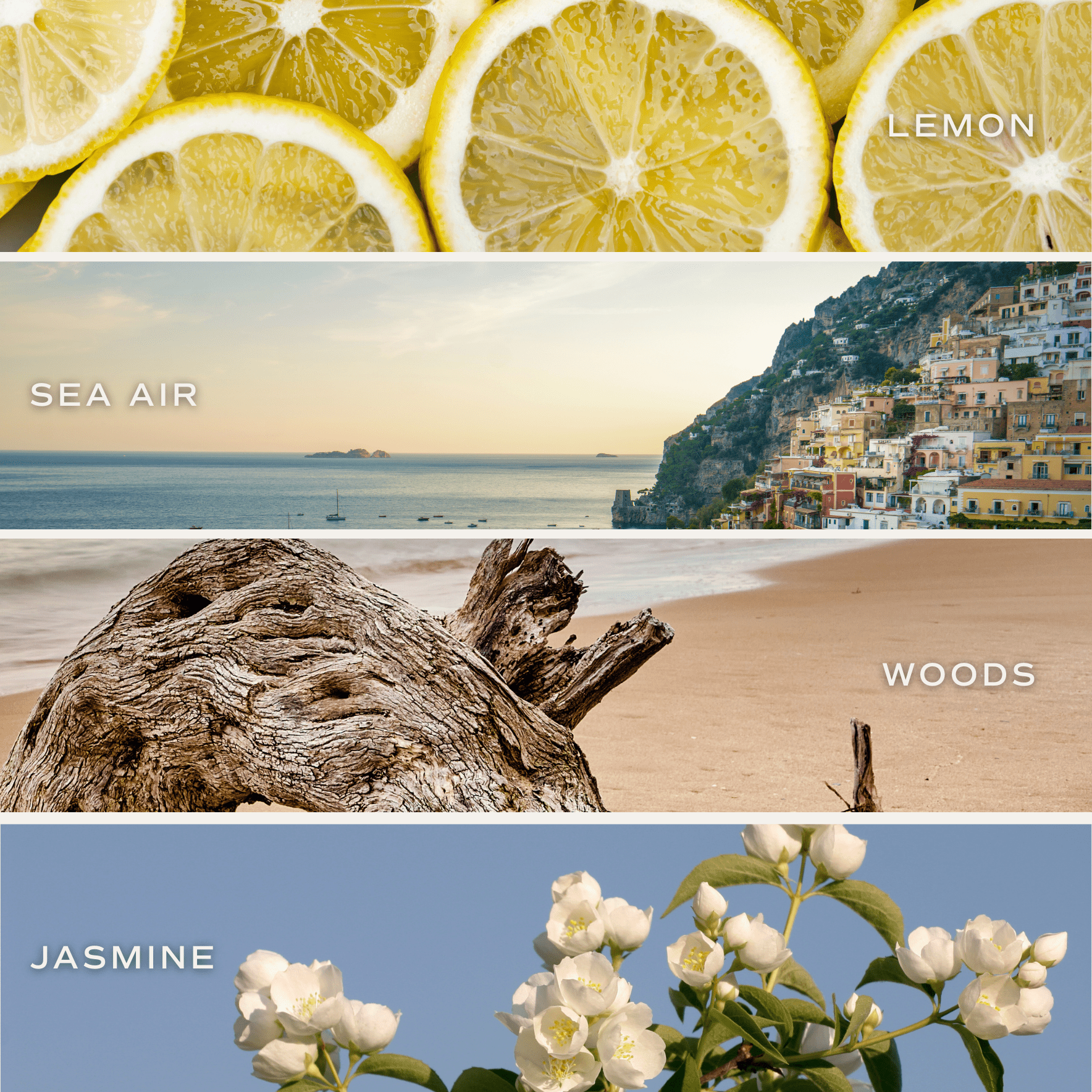 *NEW* Coastal Lemon 12 oz Soy Candle, Blue Tinted Floral Jar