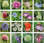Flowers for You Wildflower Seed Bomb Gift Box