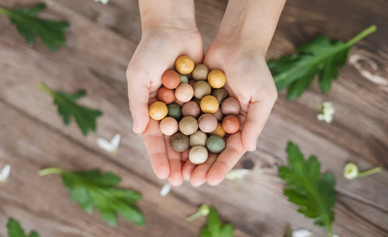 Wildflower Seed Bomb Gift Carton – “A Gift for You”