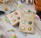 Mini Wildflower Seed Bomb Gift Box