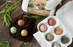 Wildflower Seed Bomb Gift Carton – “A Gift for You”