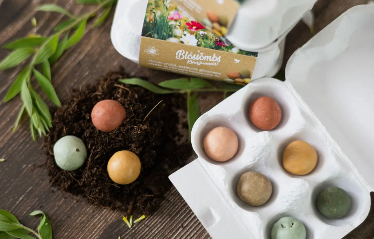 Wildflower Seed Bomb Gift Carton – “A Gift for You”
