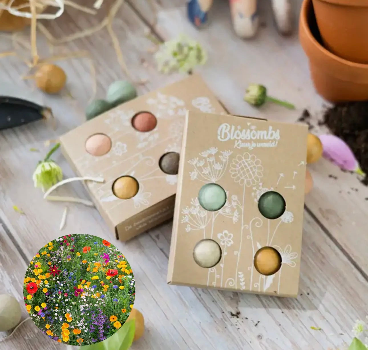 Flowers for You Wildflower Seed Bomb Gift Box