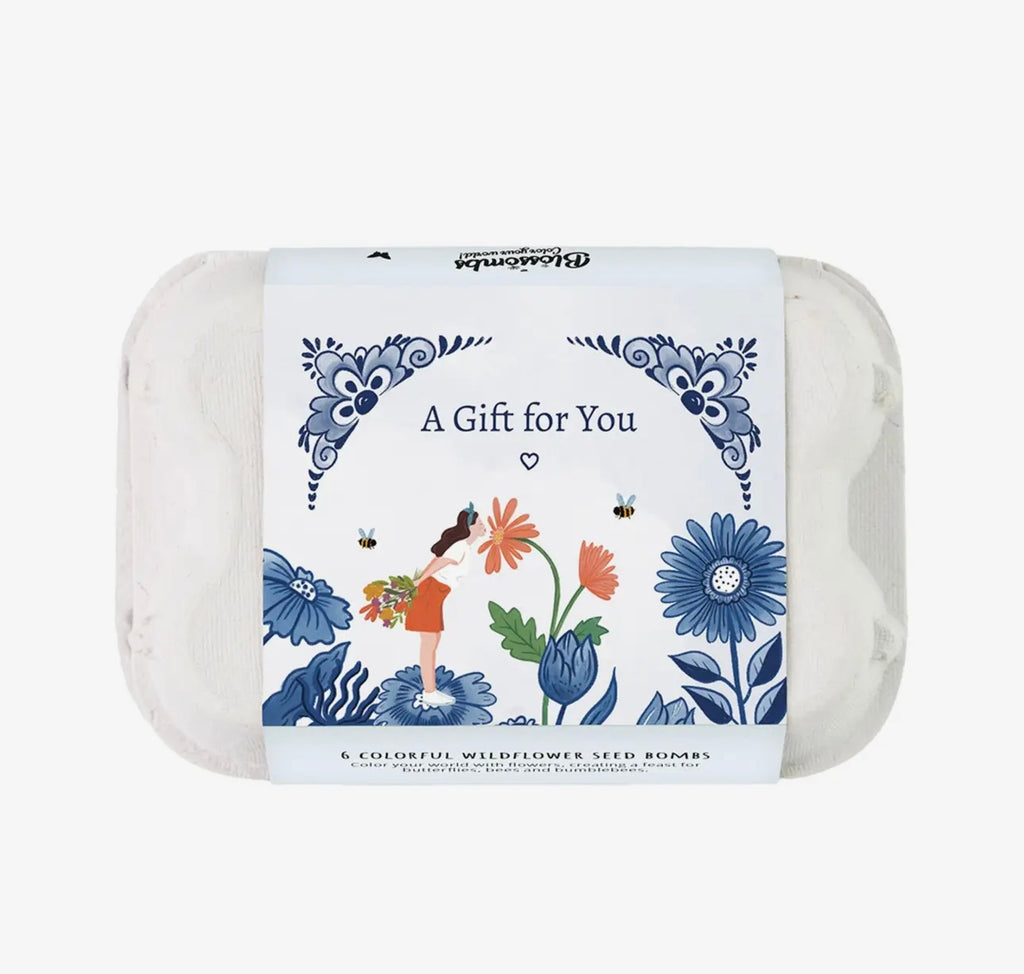 Wildflower Seed Bomb Gift Carton – “A Gift for You”