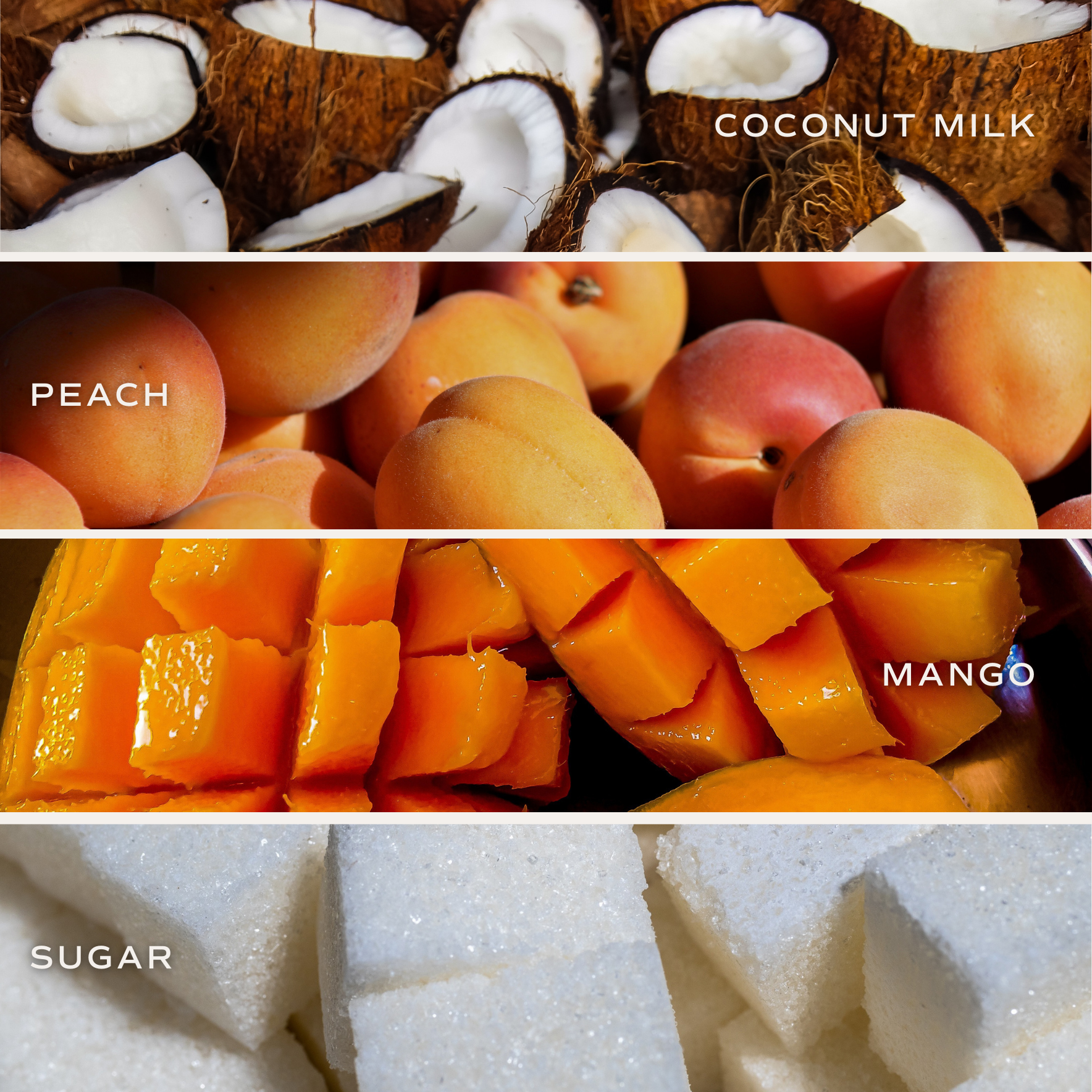 Mango and Coconut 12 oz Candle - Home Decor and Gifts